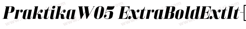 PraktikaW05 ExtraBoldExtIt字体转换